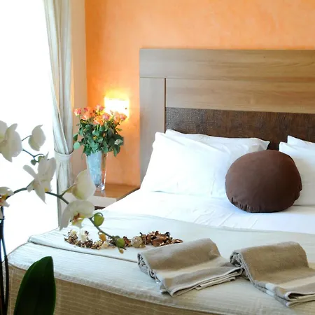 Hotel I Due Cigni 3*